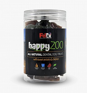 ���� ������ ����� ����