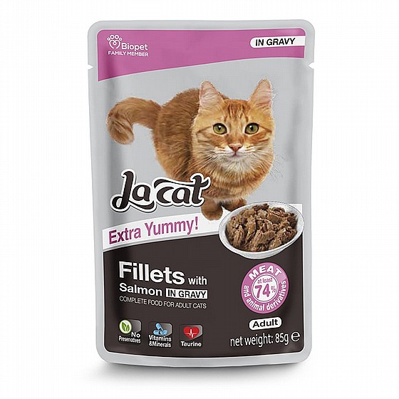 ���� LaCat ����� ����� ����� 85 ���