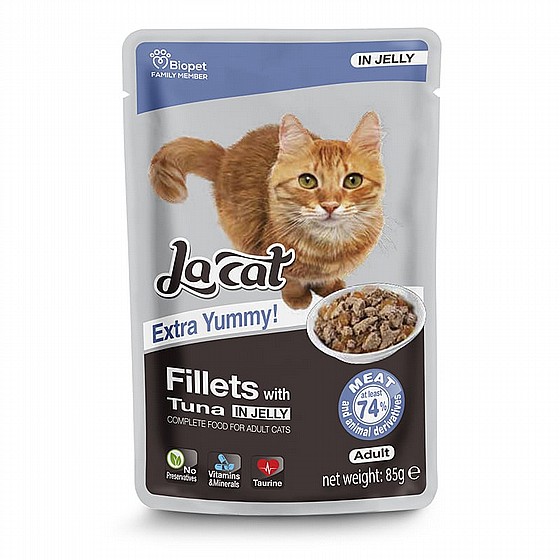 ���� LaCat ����� ���� ���� 85 ���