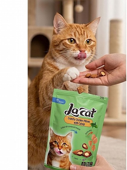 ���� LaCat ������� ����� �������� ��� �� ����� 50 ���