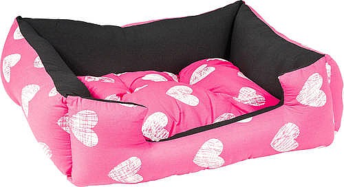 ���� ����� M ������