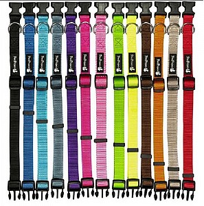 ���� ��� ������  L ������