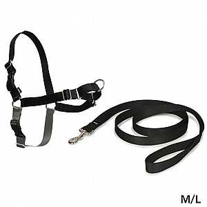 ���� ���� ���� ��� L ����