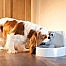 ������ petsafe - ����� ��� ���� / ����  1.5 ���� 