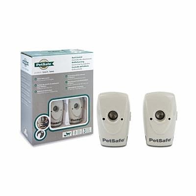 ���� ������ ���� �� ���� 