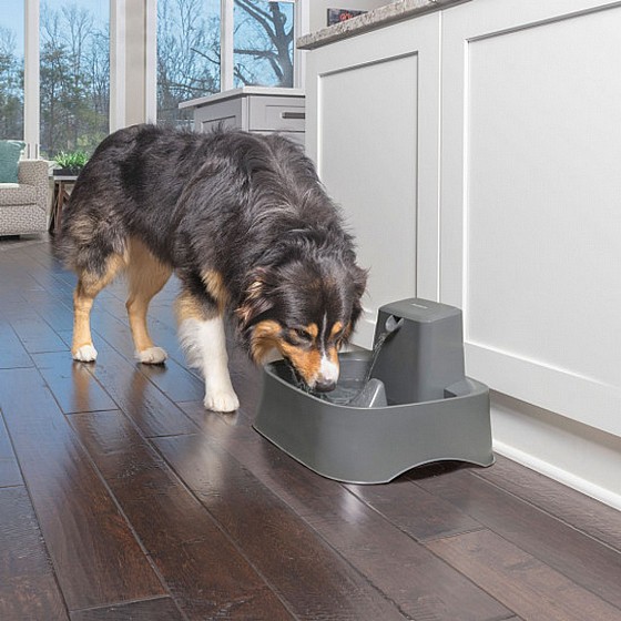 ������ petsafe - ����� ��� ���� / ���� 7.5 ���� 