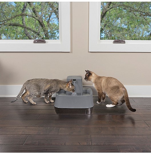 ������ petsafe - ����� ��� ���� / ���� 7.5 ���� 