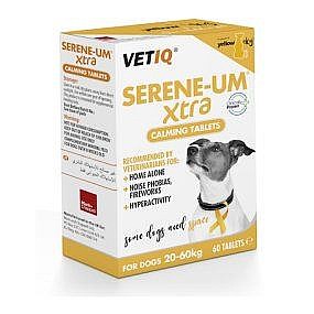 ������ ����� ���� ���� VETIO 1 ����� 