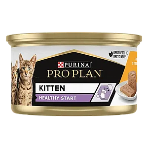 ����� ������ ���� ���� ��� 85 ��� ������