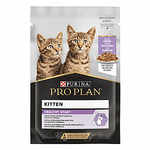 ��� ���� - Pro Plan ���� ������ ���� ���� ����� 85 ��� 