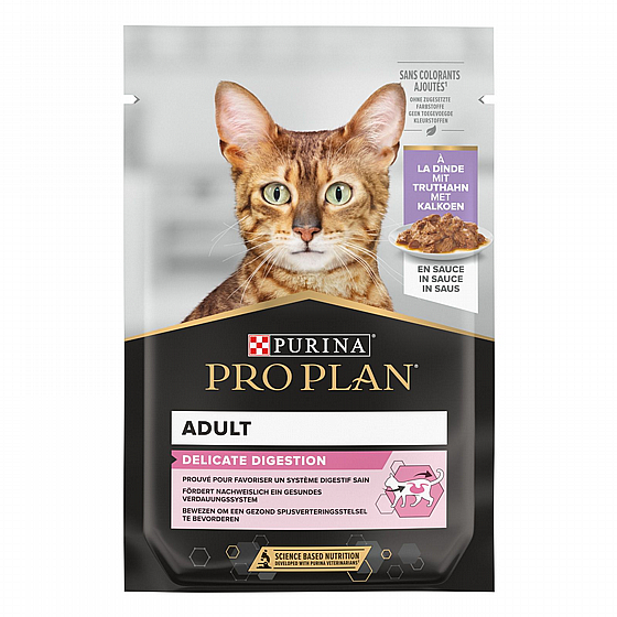 ��� ����  - Pro Plan -���� ����� ���� ����� 85 ���