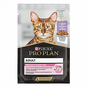 ��� ����  - Pro Plan -���� ����� ���� ����� 85 ���