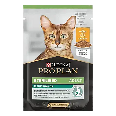 ��� ���� - Pro Plan ���� ������ �������� ��� ����� 85 ��� 