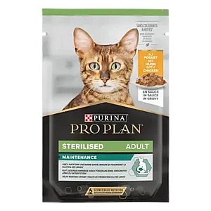 ��� ���� - Pro Plan ���� ������ �������� ��� ����� 85 ��� 