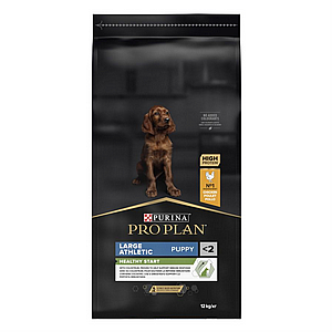 ��� ����  - Pro Plan - HEALTHY START ������ ���� ���� ������ 12 �"�