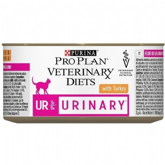 ��� ����  - Pro Plan - ����� ������ ���� ��� ���� ����� 195 ���