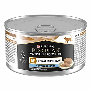 ��� ����  - Pro Plan - ����� ��������� ���� 195 ���