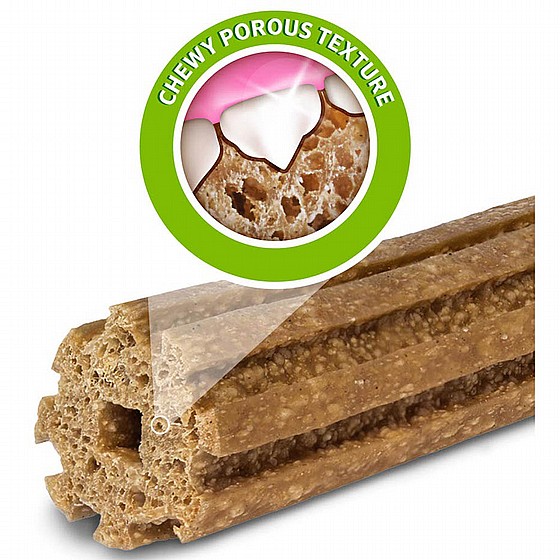 ���� ������� ��� �. ���