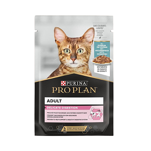 ��� ���� - Pro Plan ���� ������ ����� ������� ����� 85 ���