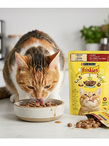 ������� Friskies ���� ���� ���� ������� ������ ���� ��� ����� 85 ���