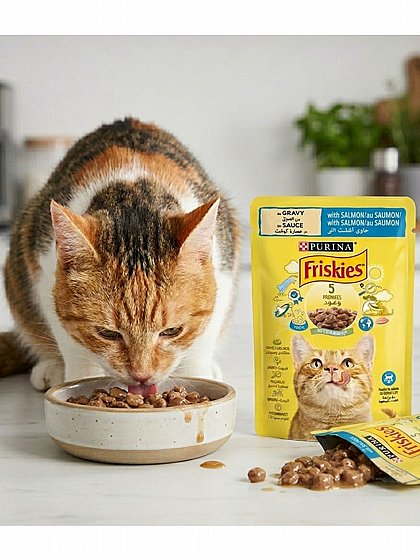 ������� Friskies - ���� ������� ������ ��� 85 ���