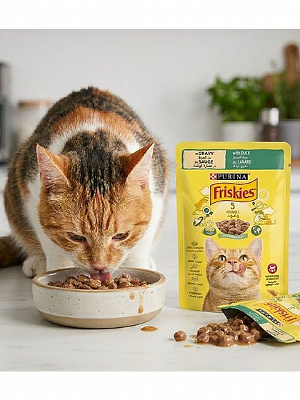 ������� Friskies ���� ���� ���� ����� ����� 85 ���