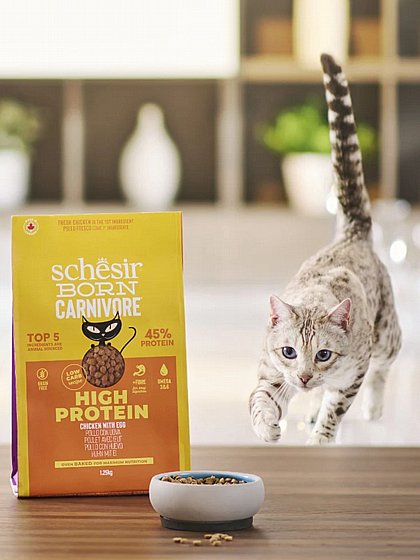 ���� ��� Schesir Born Carnivore ������� ��� ����� 1.25 ��