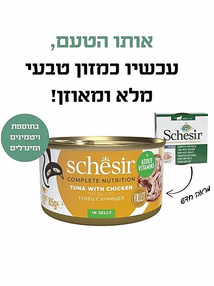 ���� Schesir ��� ���� ���� �� ��� ���� 85 ���