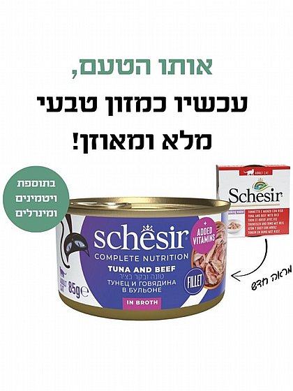 ���� Schesir ��� ���� ���� �� ��� ���� ���� (In Broth) 85 ���