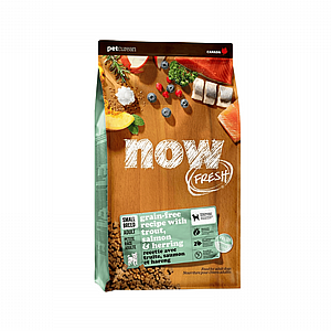 ��� - NOW - ���� ������ ������ ���� ��� ��� ����� ���� ���� - �� 10 �"�