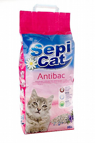 ��� Sepi Cat ��� ��  ���� 16 ����