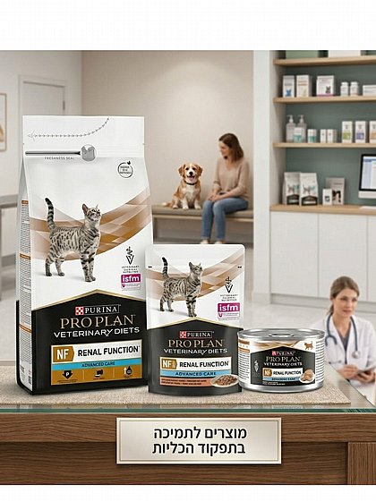 ���� ��� ���� Pro Plan ���� NF ���� ����� 85 ���