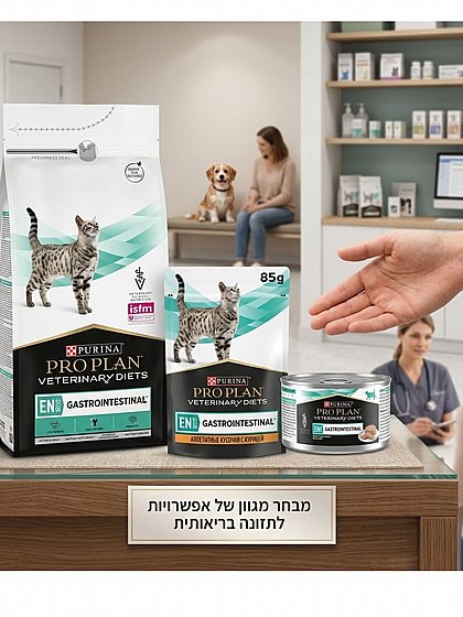 ���� ��� ���� Pro Plan ���� EN ��������� ����� 85 ���