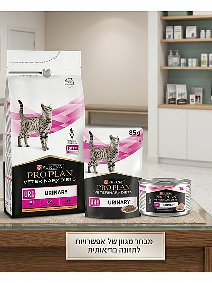 ���� ��� ���� Pro Plan ���� UR ���� ��� ����� 85 ���