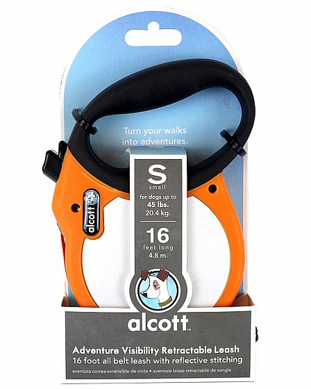 Alcott visibility ���� ���� ���� ���� S