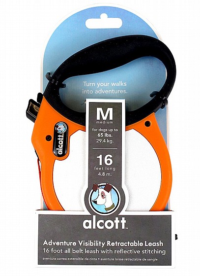 Alcott visibility ���� ���� ���� ���� M