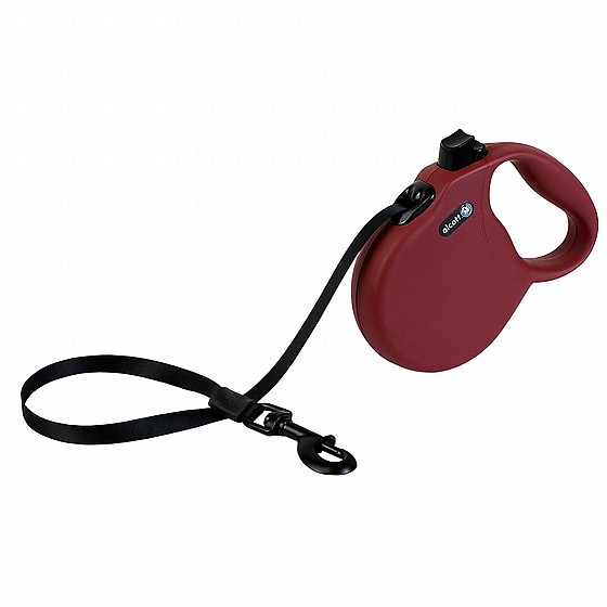 Alcott wanderer ���� ���� ���� L