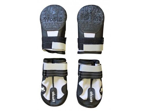 ����� ����� ���� M