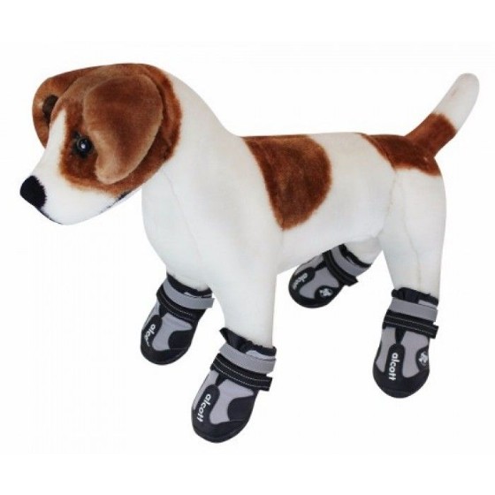 ����� ����� ���� L