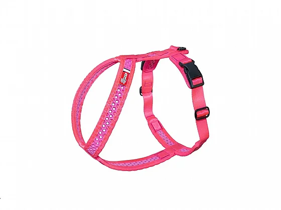 ���� Softy ����� ���� 4