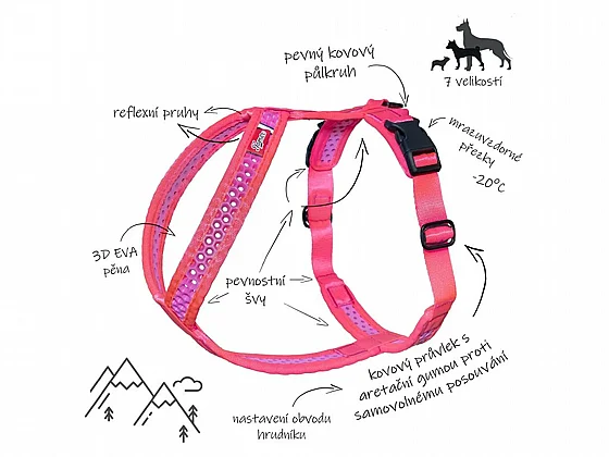 ���� Softy ����� ���� 5