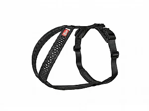 ���� Softy ����� ���� 8