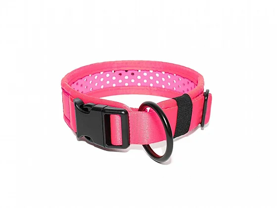 ���� Softy ���� (���� 2.8 �"�) 25-31 �"�
