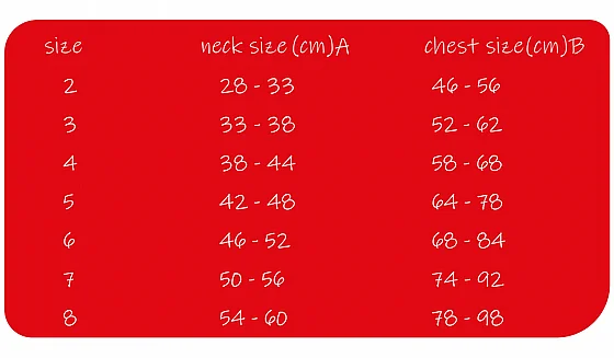 ���� Softy ���� ���� ���� 2