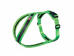 ���� Softy ���� ���� ���� 3