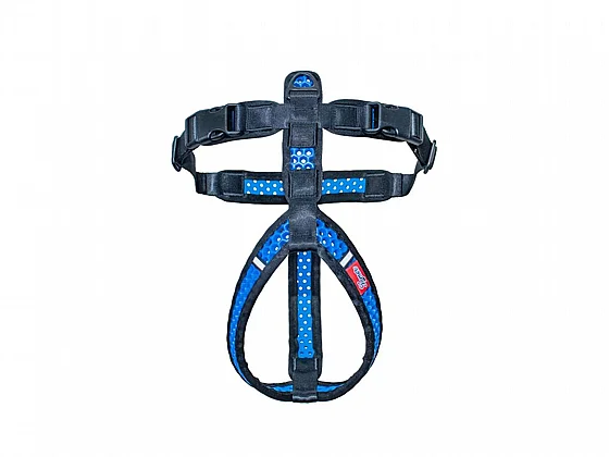 ���� Softy ���� ���� ���� 6