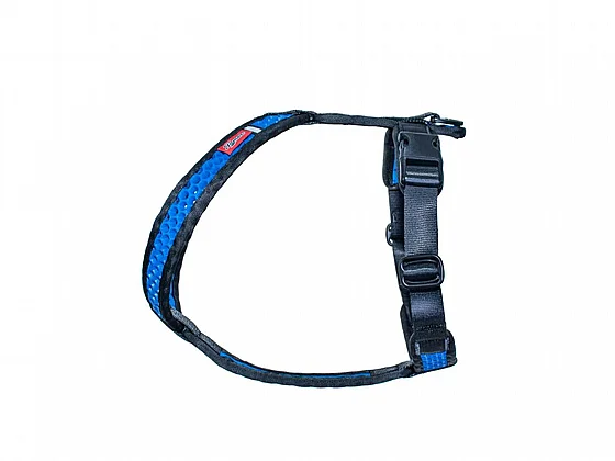 ���� Softy ���� ���� ���� 6