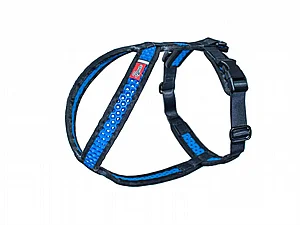 ���� Softy ���� ���� ���� 8