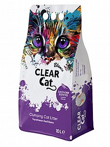 ��� ������ Clear Cat ���� ������ 10 ���� 