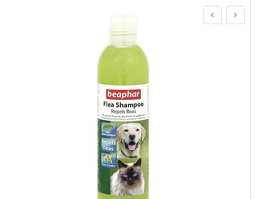 ���� ����� ���� ������� 250 ��